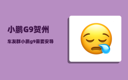 小鹏G9贺州车友群_小鹏g9需要安导航嘛