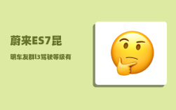 蔚来ES7昆明车友群_l3驾驶等级有什么车