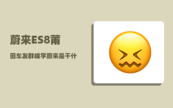 蔚来ES8莆田车友群_峰学蔚来是干什么的
