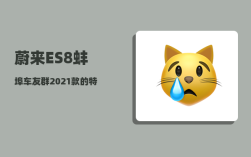 蔚来ES8蚌埠车友群_2021款的特点