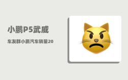 小鹏P5武威车友群_小鹏汽车销量2021