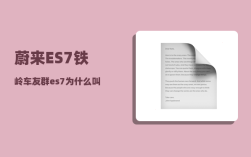 蔚来ES7铁岭车友群_es7为什么叫韭菜车