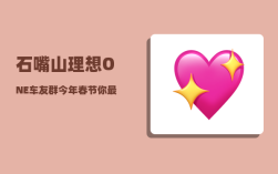 石嘴山理想ONE车友群_今年春节你最希望在哪里过