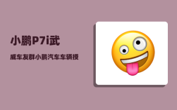 小鹏P7i武威车友群_小鹏汽车车辆授权多个手机怎么绑定