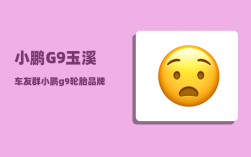 小鹏G9玉溪车友群_小鹏g9轮胎品牌和型号