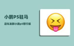 小鹏P5驻马店车友群_小鹏p5智行版能升级吗