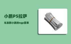 小鹏P5拉萨车友群_小鹏的ngp要单独购买吗