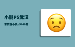 小鹏P5武汉车友群_小鹏p5460有哪些配置