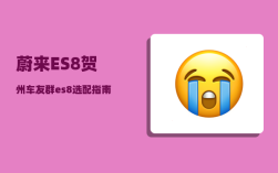 蔚来ES8贺州车友群_es8选配指南
