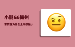 小鹏G6梅州车友群_为什么全网都是小鹏g6