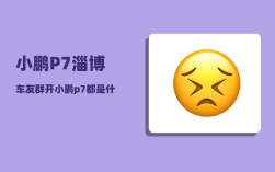 小鹏P7淄博车友群_开小鹏p7都是什么人