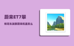 蔚来ET7攀枝花车友群_蔚来机盖怎么开