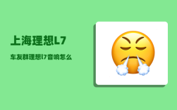 上海理想L7车友群_理想l7音响怎么调