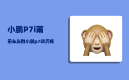 小鹏P7i莆田车友群_小鹏p7哨兵模式手机上怎么看