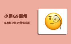 小鹏G9郴州车友群_小鹏g9单电机跟双电机提速有区别吗