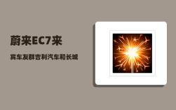 蔚来EC7来宾车友群_吉利汽车和长城汽车哪个更有未来