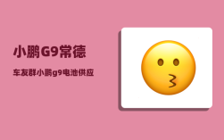 小鹏G9常德车友群_小鹏g9电池供应商安全吗