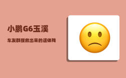 小鹏G6玉溪车友群_搜救出来的遗体残骸会怎么处理