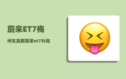 蔚来ET7梅州车友群_蔚来et7补贴后真实成交价