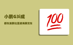 小鹏G3i成都车友群_比亚迪海豚交车船税吗