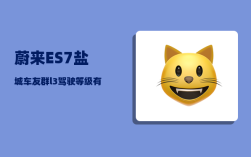蔚来ES7盐城车友群_l3驾驶等级有什么车