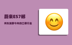 蔚来ES7郴州车友群_今年的口罩行业能兴旺到几月