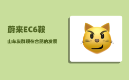 蔚来EC6鞍山车友群_现在合肥的发展怎么样