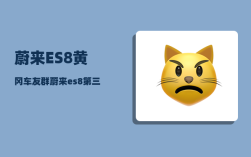 蔚来ES8黄冈车友群_蔚来es8第三排不能放倒