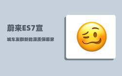 蔚来ES7宣城车友群_新能源质保哪家强