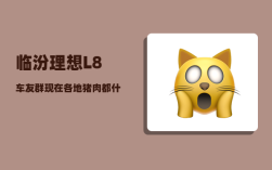 临汾理想L8车友群_现在各地猪肉都什么价钱了