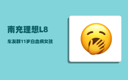 南充理想L8车友群_11岁白血病女孩2次复发奇迹治愈
