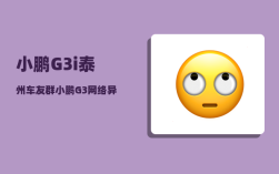小鹏G3i泰州车友群_小鹏G3网络异常怎么处理呢