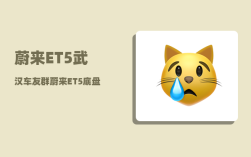 蔚来ET5武汉车友群_蔚来ET5底盘高度
