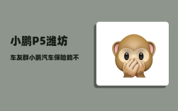 小鹏P5潍坊车友群_小鹏汽车保险能不能在外面买