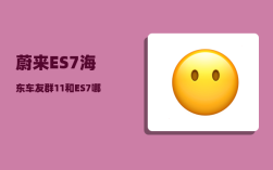 蔚来ES7海东车友群_11和ES7哪个配置好