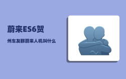 蔚来ES6贺州车友群_蔚来人机叫什么