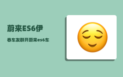蔚来ES6伊春车友群_开蔚来es6车的都是什么人