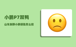 小鹏P7双鸭山车友群_小鹏钥匙怎么控制前进