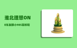 淮北理想ONE车友群_小985高校和小211高校