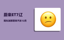 蔚来ET7辽阳车友群_蔚来汽车12月销量