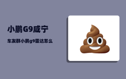 小鹏G9咸宁车友群_小鹏g9雷达怎么贴