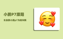 小鹏P7濮阳车友群_小鹏p7为啥叫佩奇