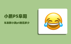 小鹏P5阜阳车友群_小鹏p5胎压多少bar