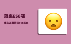 蔚来ES8鄂州车友群_蔚来es8怎么换电