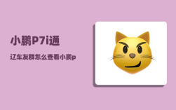 小鹏P7i通辽车友群_怎么查看小鹏p7的配置