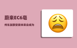 蔚来EC6亳州车友群_安徽未来会成为经济强省吗