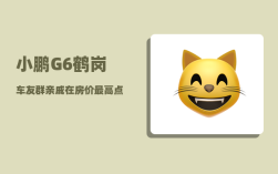 小鹏G6鹤岗车友群_亲戚在房价最高点的时候卖掉两套房