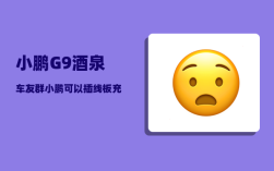 小鹏G9酒泉车友群_小鹏可以插线板充电吗