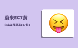 蔚来EC7黄山车友群_蔚来ec7和es6的区别