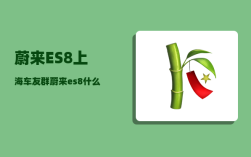 蔚来ES8上海车友群_蔚来es8什么时候全新换代